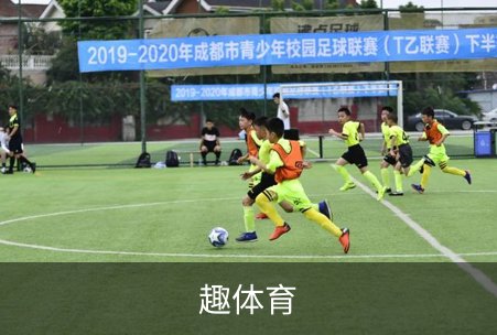 关于趣体育